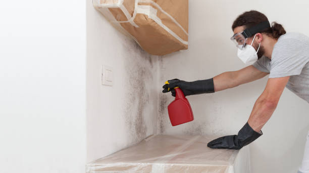 Professional Bathroom Mold Removal technician working in Shelbyville, IL