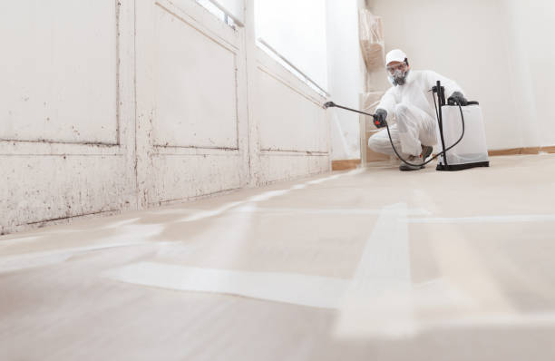 24/7 Emergency Bathroom Mold Removal experts in Shelbyville, IL